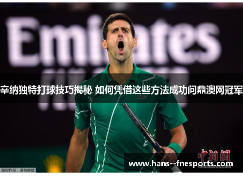 辛纳独特打球技巧揭秘 如何凭借这些方法成功问鼎澳网冠军